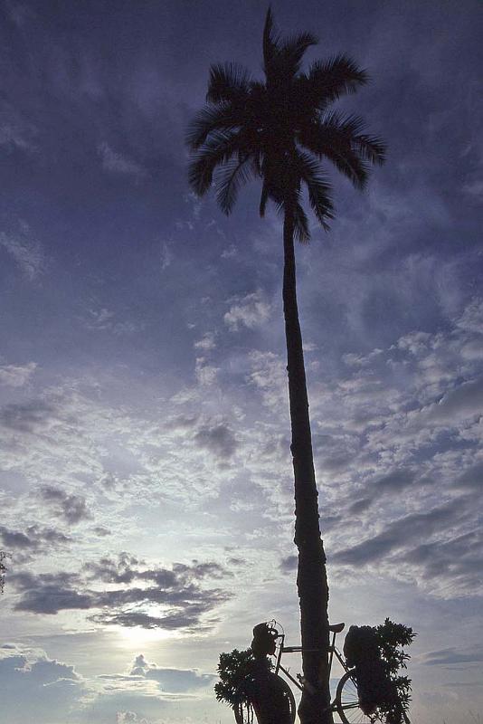 WT 0700 113-15 Malaysia.jpg